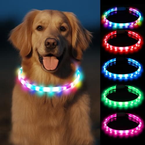 光る首輪 犬
