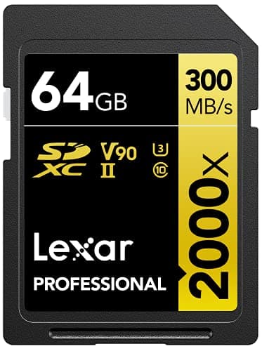 Professional 64GB SDXC 2000X UHS II (LSD2000064G-BNNNG)