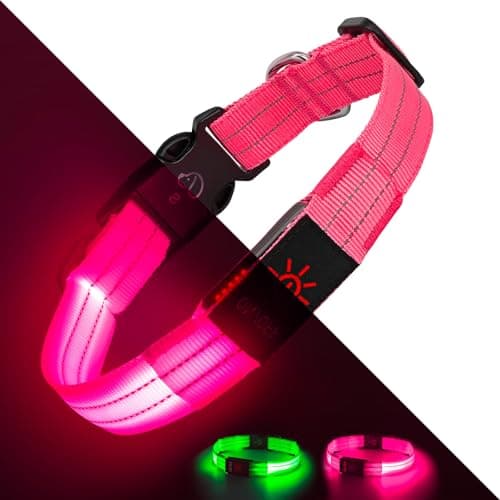 LED 光る首輪