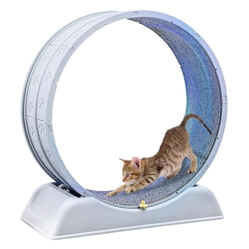 キャットホイール 猫回し車 猫用トレッドミル 猫ランニングホイール