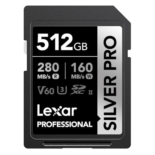 Professional SDXC 512GB SILVER PRO UHS-II V60 LSDSIPR512G-BNNNG