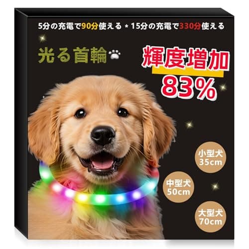 【2026年最新】犬用光る首輪30選！夜のお散歩を安全＆おしゃれに。選び方のポイントも解説