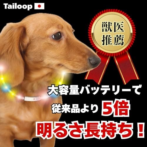 [獣医師推薦] 光る首輪