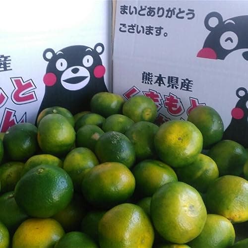 みかん 訳あり 箱込１０キロ 熊本産