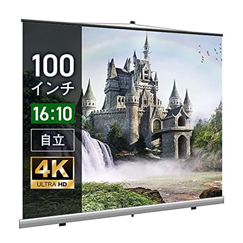 ビジネスプロジェクター スクリーン モバイル 自立式 100インチ (16：10) SST2160FEH
