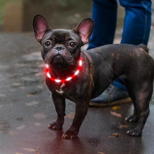 光る首輪 LED ペット首輪 犬 散歩 夜 ライト 充電式 暗闇で光る犬用首輪 EZ-001 赤