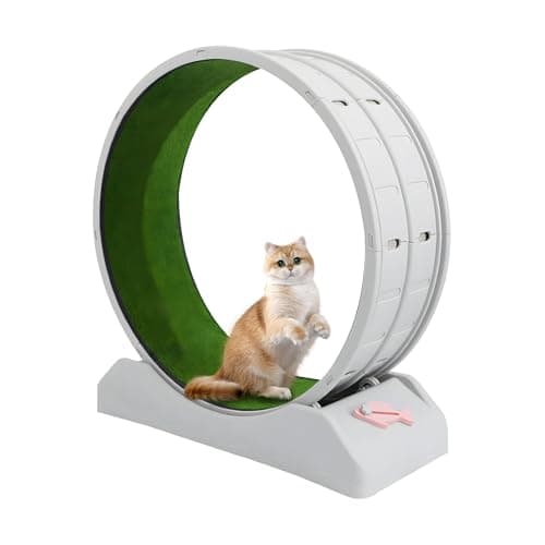 キャットホイール 猫 運動 猫 まわし車 猫 ホイール 猫 ルームランナー 猫 走る 回転 回転ホイール PP 素材 洗える カビにくい 静音ローラー 角丸め 猫を守る 分体式 簡単分解洗浄 発育不良・肥満・ストレス解消 健康サポート 室内・ペットルーム 多用途(80×35×85cm グレー)