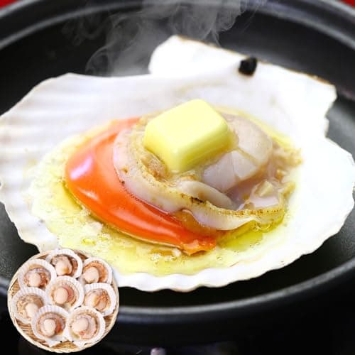 天然 殻付き生ほたて 大型サイズ(殻幅10~12cm)×8~10枚入