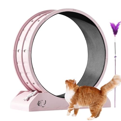 猫用ランニングホイール