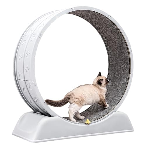 キャットホイール 猫用ランニングマシン