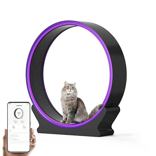 キャットホイール