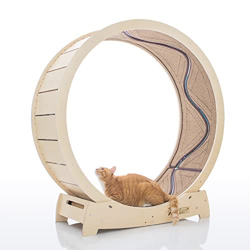 スターキャットホイール CATWH1060