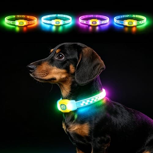 犬 光る首輪 最新型