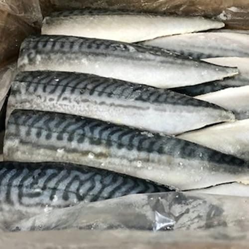 さばフィーレ 無塩(半身・腹骨無し) 10枚(1枚約160g)