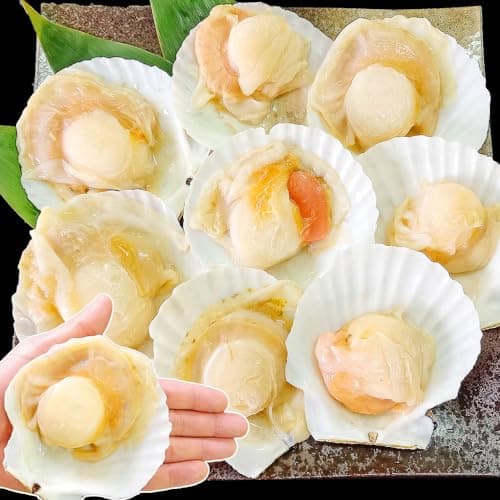 北海道産 ホタテ貝柱 帆立 片貝 殻付き 1袋 (8枚入) 特大 ほたて 冷凍 バーベキュー bbq ギフト 母の日ギフト 父の日プレゼント