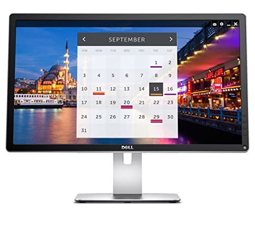 Ultra HD 4K Monitor P2415Q 24-Inch